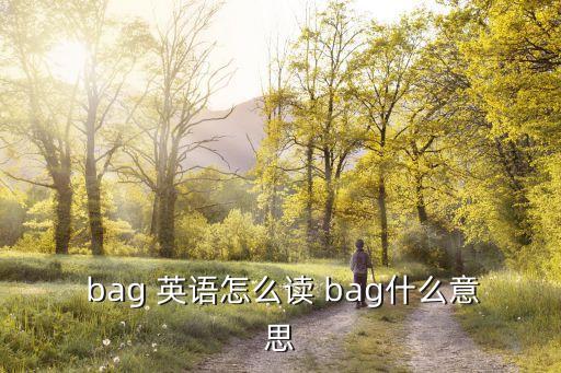  bag 英語怎么讀 bag什么意思