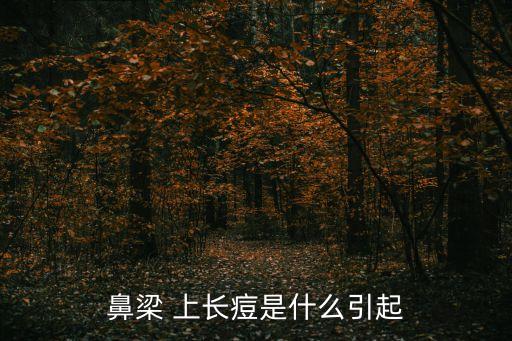 鼻子上長痘痘的原因,鼻子上長痘痘的原因是毛囊炎