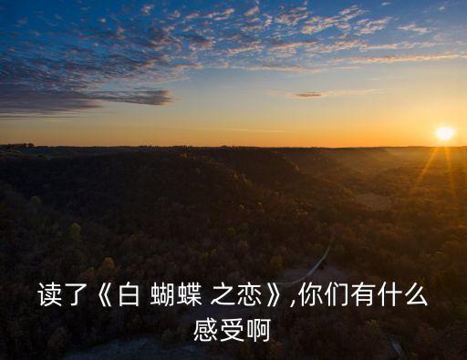 讀了《白 蝴蝶 之戀》,你們有什么感受啊