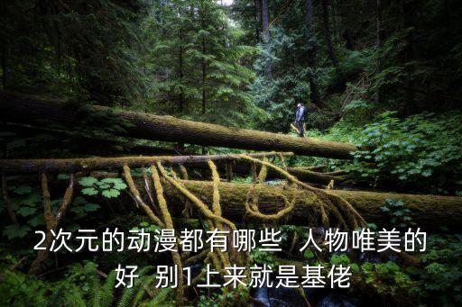 2次元的動漫都有哪些  人物唯美的 好  別1上來就是基佬