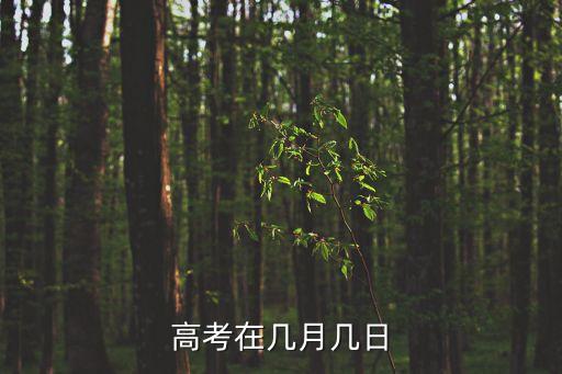 高考在幾月幾日
