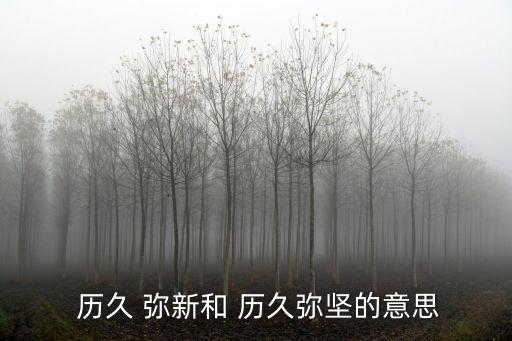  歷久 彌新和 歷久彌堅的意思