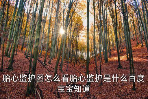 胎心監(jiān)護(hù)圖怎么看胎心監(jiān)護(hù)是什么百度寶寶知道