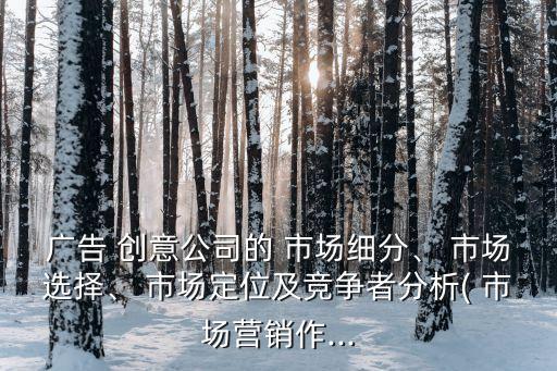 廣告 創意公司的 市場細分、 市場選擇、 市場定位及競爭者分析( 市場營銷作...