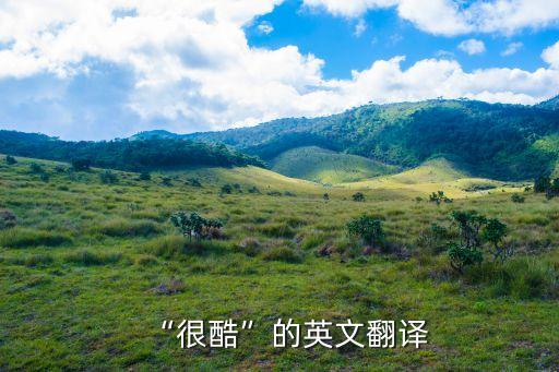 酷的英語,酷發音英美口譯adj.酷；