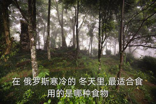 在 俄羅斯寒冷的 冬天里,最適合食用的是哪種食物