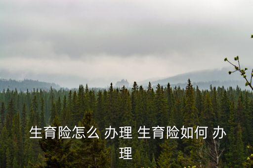 生育保險怎么辦理,法律解析:辦理生育保險只需要報單位