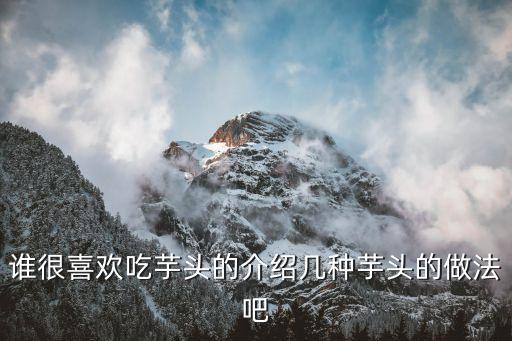 酥皮怎么做，點心的做法