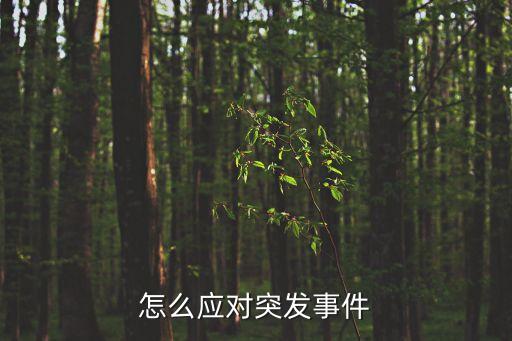 應對突發事件，突發事件如何應對