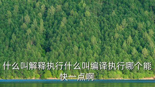 執(zhí)行的意思，執(zhí)行什么意思