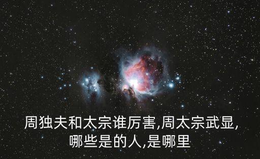  周獨夫和太宗誰厲害,周太宗武顯,哪些是的人,是哪里