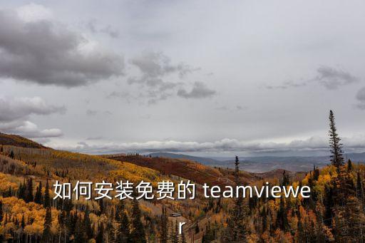 teamviewer官網