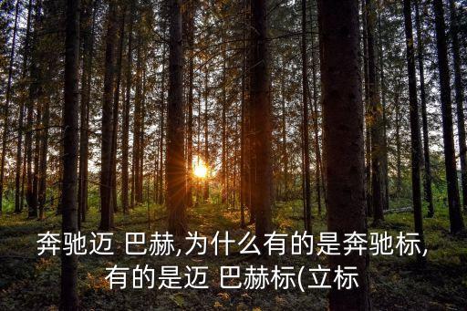 邁巴赫車標志,馬國巴赫改標簽用于奔馳標志