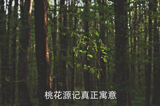 桃花源記背景,南朝武帝篡位第二年第一篇短文如何描寫桃花源?