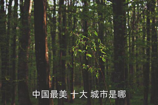 中國十大魅力城市,中國十大魅力城市評選出爐