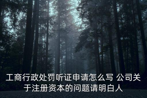 工商行政處罰聽證申請怎么寫 公司關于注冊資本的問題請明白人