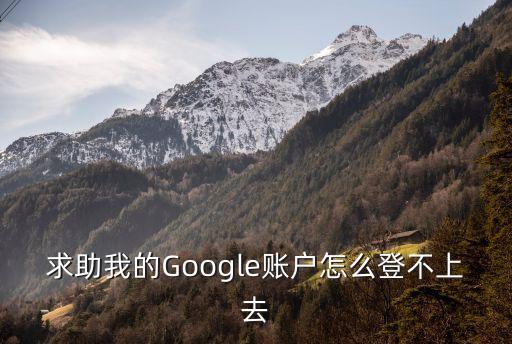 求助我的Google賬戶怎么登不上去