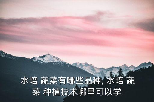 水培蔬菜怎么種植,水培蔬菜種植技術:先澆透水再放種植杯