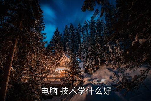 電腦 技術學什么好
