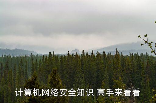 計算機網(wǎng)絡(luò)安全知識 高手來看看