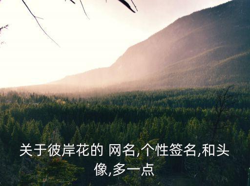 關于花的網名,彼岸花妖嬈傷人如擦肩而過