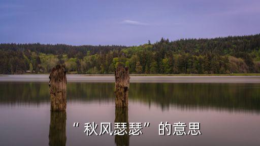 “ 秋風瑟瑟”的意思