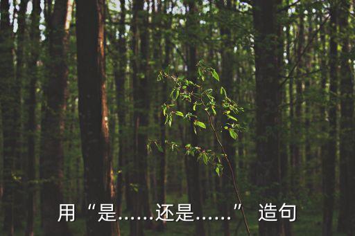 用是還是造句,回顧（一）:新加坡大選