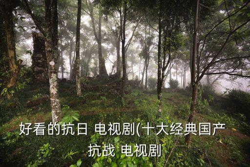 電視劇抗戰(zhàn)片,八大必看抗日電視劇之一