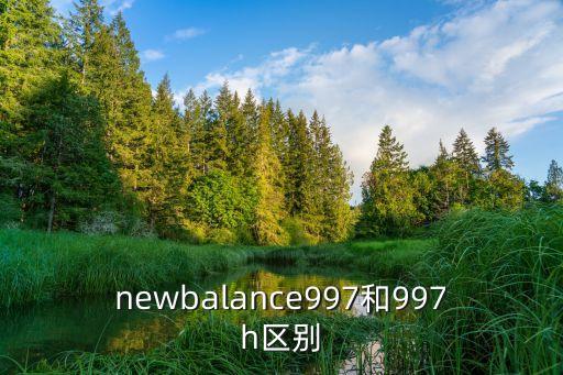997997,潮鞋搭載運動科技價格高嗎?