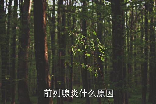  前列腺炎什么原因