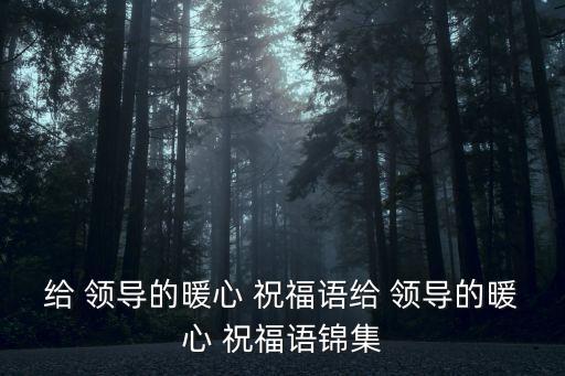 給 領導的暖心 祝福語給 領導的暖心 祝福語錦集