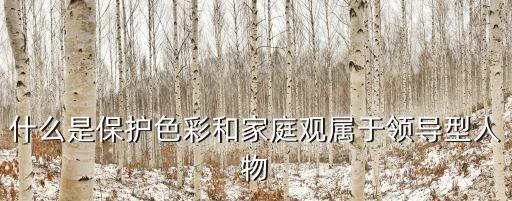 領導型人格，什么是保護色彩和家庭觀屬于領導型人物