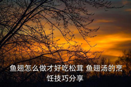  魚翅怎么做才好吃松茸 魚翅湯的烹飪技巧分享