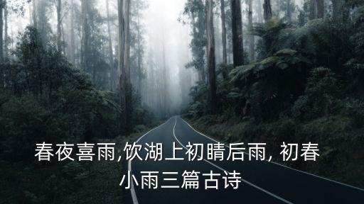 春夜喜雨,飲湖上初睛后雨, 初春 小雨三篇古詩