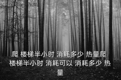 爬 樓梯半小時(shí) 消耗多少 熱量爬 樓梯半小時(shí) 消耗可以 消耗多少 熱量