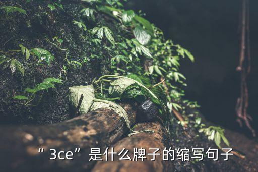 3ce是什么牌子,韓國女裝品牌3ce熱銷中國市場上