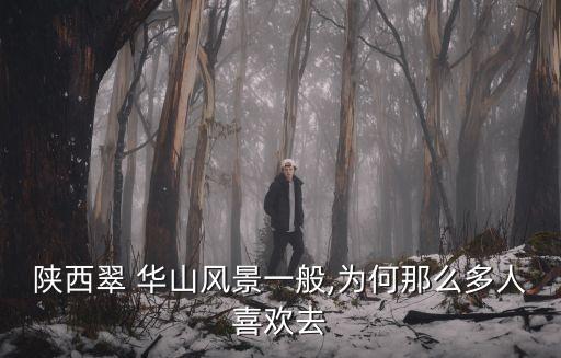 陜西翠 華山風景一般,為何那么多人喜歡去