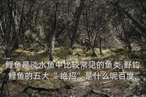 鯉魚是淡水魚中比較常見的魚類,野釣鯉魚的五大“ 絕招”是什么呢百度...