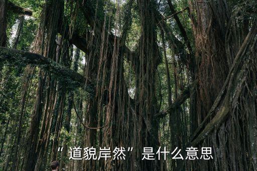 道貌岸然什么意思,道士模樣:嚴(yán)肅認(rèn)真像個(gè)正常人
