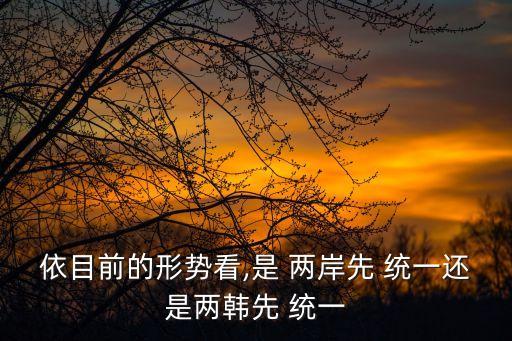 兩岸統一時間,選票結果
