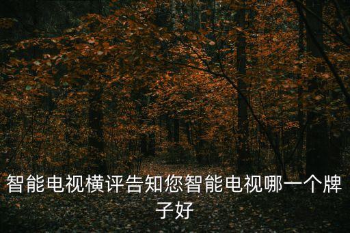 智能電視機，智能電視機是怎樣的