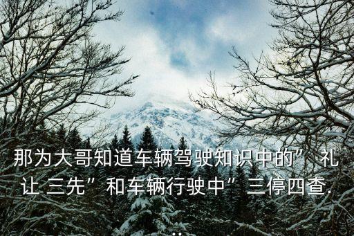 禮讓三先,杭州公交司機(jī)如何"禮讓三先?