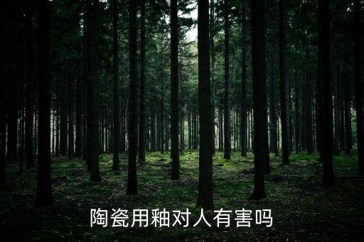 色釉餐具安全嗎,陶瓷釉料涂層鍋對健康有害嗎?