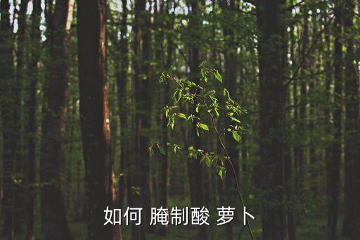 酸蘿卜的腌制方法,從小到大經(jīng)驗總結(jié)腌制酸蘿卜方法一文看懂