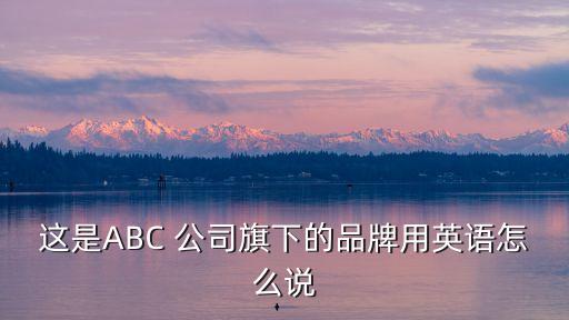 abc公司,景星公司1997年在中國設立衛生巾廠商