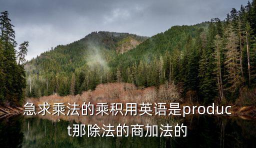 急求乘法的乘積用英語是product那除法的商加法的