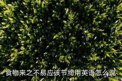 節省的英文,一文讀懂!堅毅向前預算案