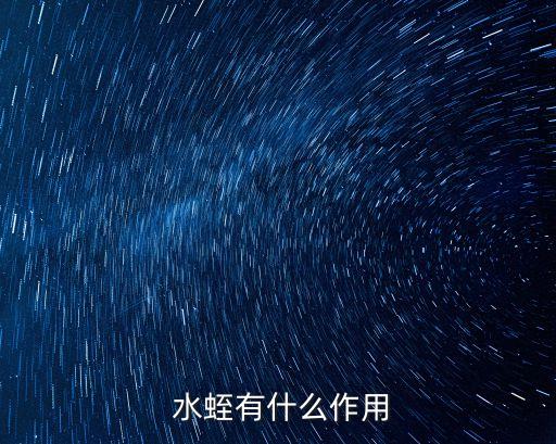 燙水蛭的功效與作用,水蛭-寬體水蛭不含水蛭元素