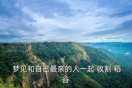  夢見和自己最親的人一起 收割 稻谷