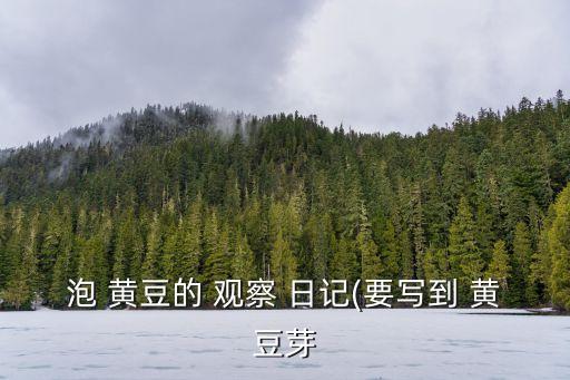 泡 黃豆的 觀察 日記(要寫到 黃豆芽